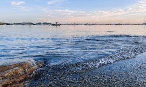 Falmouth Town Landing, Photo Credits: Cassie Demick