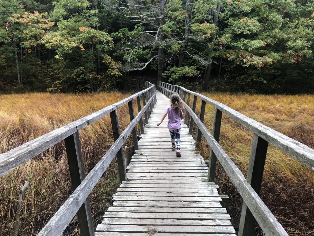 Fore River Sanctuary, Photo Credits: Courtney Tuttle