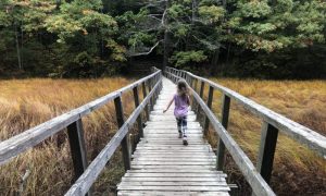 Fore River Sanctuary, Photo Credits: Courtney Tuttle