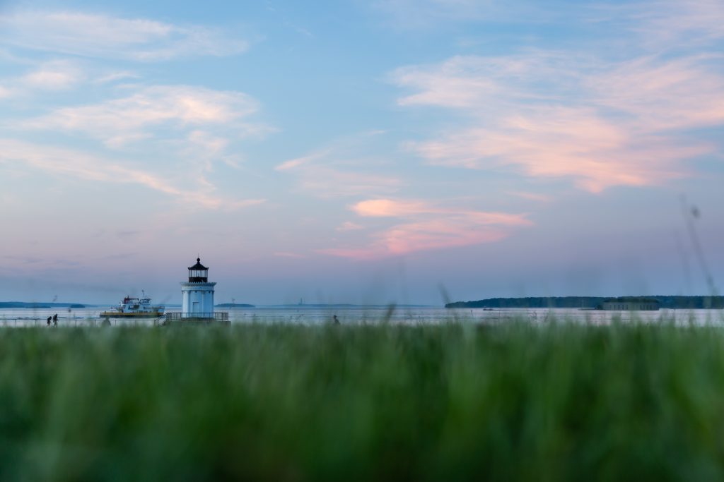 Chasing Bug Light, Photo Credits: David Wardrick