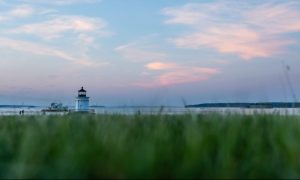 Chasing Bug Light, Photo Credits: David Wardrick