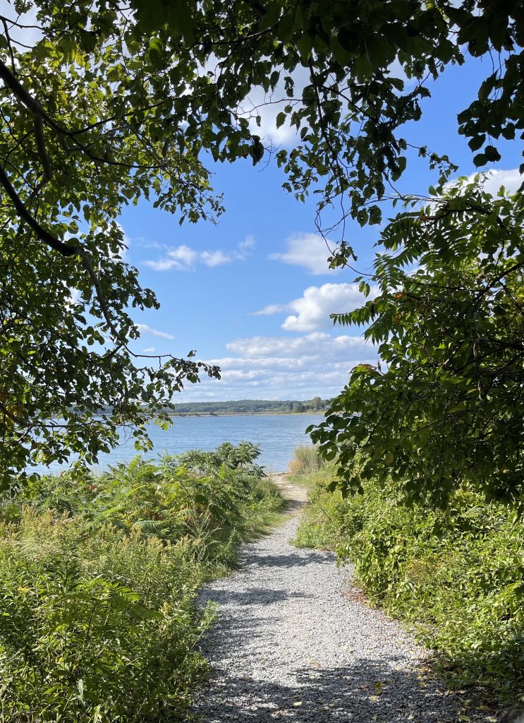 Mackworth Island, Photo Credits: Debra Ann Gorneault Mackworth Island, Photo Credits: Debra Ann Gorneault