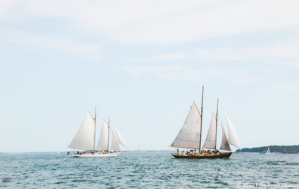 Sail Boats in the Bay, Photo Credits: Elissa Salter