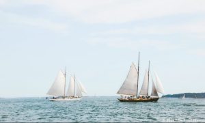 Sail Boats in the Bay, Photo Credits: Elissa Salter