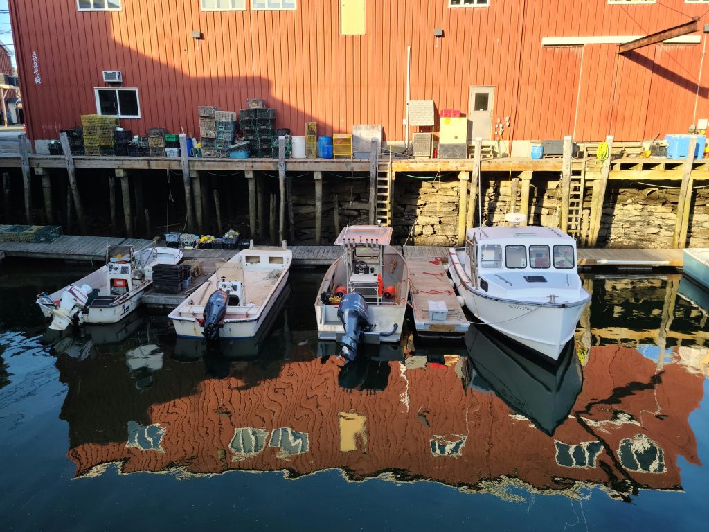 Down by the Bay, Photo Credits: Emily Marquis