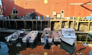 Down by the Bay, Photo Credits: Emily Marquis