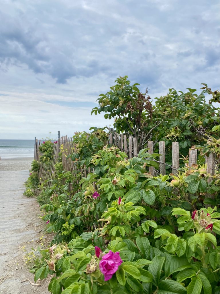 Higgins Beach, Photo Credits: Emma Strong