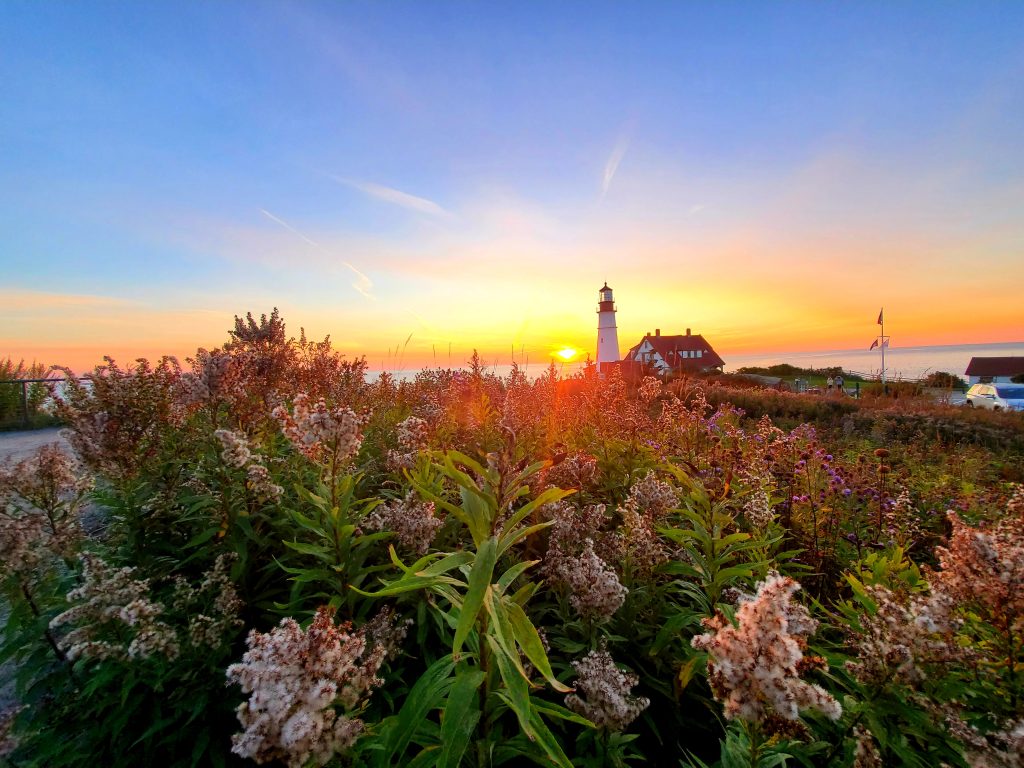 Portland Head Light Flowers, Photo Credits: Heath J. Allen Sturgis