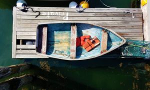 Peaks Island Living, Photo Credits: Jason Harris