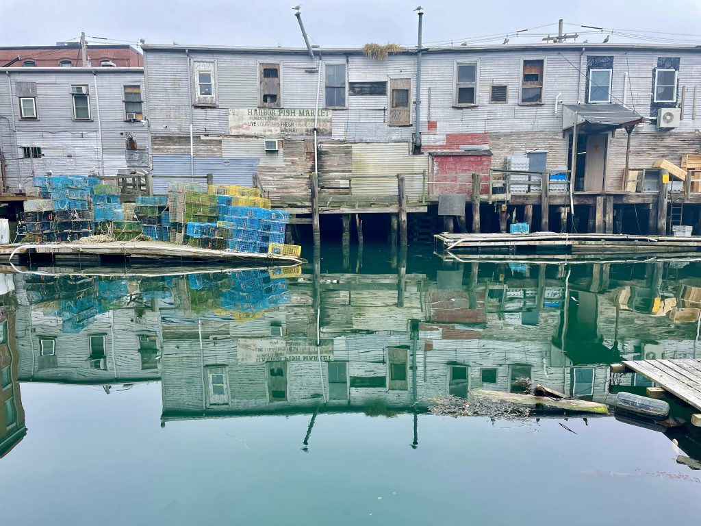 Waterfront Reflection, Photo Credits: Jill O'Connor