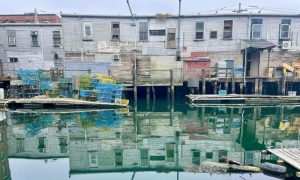 Waterfront Reflection, Photo Credits: Jill O'Connor