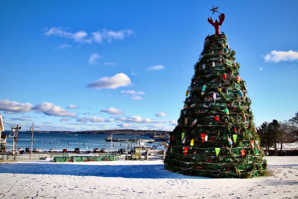 Lobster Tree, Photo Credits: Steven Bridges