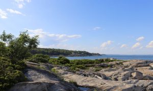 Peaks Island Backshore, Photo Credits: Zanayah Moore