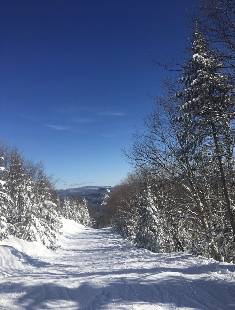 Sunday River Ski Trail, Photo Credits: Grace Tillotson