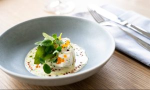 Fish Dish, Photo Credits: Twelve