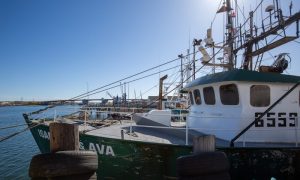 Working Waterfront Tour, Photo Credits: Serena Folding