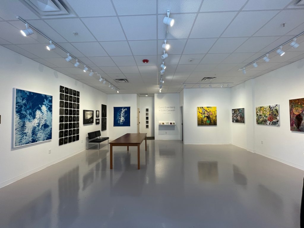 Photo Credits: Ilana Welch, MMPA Gallery showing the Cole Caswell + Carol Eisenberg exhibition Photo Credits: Ilana Welch, MMPA Gallery showing the Cole Caswell + Carol Eisenberg exhibition