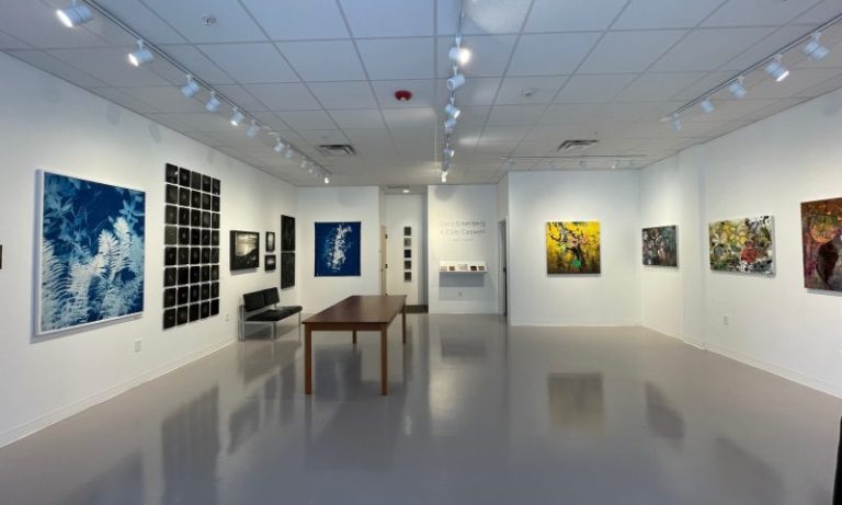 Photo Credits: Ilana Welch, MMPA Gallery showing the Cole Caswell + Carol Eisenberg exhibition