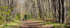 Walking dog on trail, Photo Credits: GLP Films