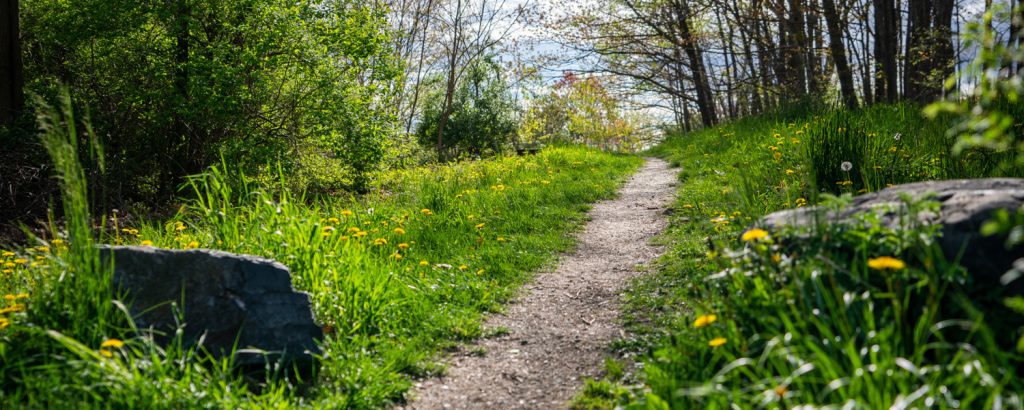 Outdoor trails, Photo Credits: GLP Films