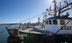 Working Waterfront, Photo Credits; Serena Folding