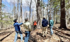 Reading the Forest, Photo Credits: Pineland Farm
