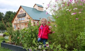 Friday Farmers, Photo Credits: Miranda Beaudoin