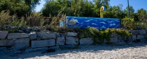 East End Beach Mural, Photo Credit: Serena Folding