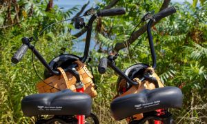 Lighthouse Bikes, Photo Credits: Serena Folding