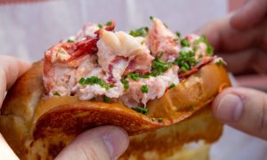 Bite into Maine Lobster rolls, Photo Credits: Serena Folding