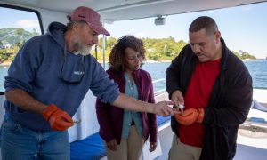 Seacoast Tours of Freeport, Photo Credits: Serena Folding