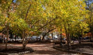 Post Office Plaza, Photo Credits: Serena Folding