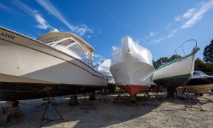 Yankee Marina, Photo Credits: Serena Folding