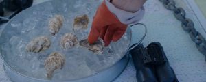 Oysters on Seacoast Tours of Freeport Cruise, Photo Credit: Knack Factory