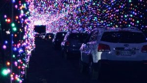 Maine Celebration of Lights: Photo Provided by Maine Celebration of Lights