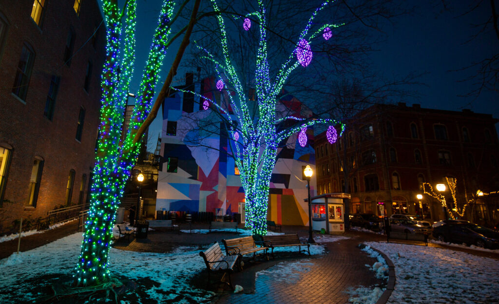Pandora's Winter Lights. Photo Credit: Serena Folding Photography