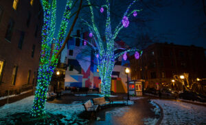 Pandora's Winter Lights. Photo Credit: Serena Folding Photography