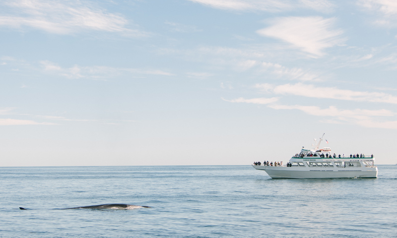 Cap'n Fish's Cruises Tour. Photo Credit: Megan Clouse