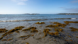Cape Elizabeth - Kettle Cove Photo Credits: Serena Folding