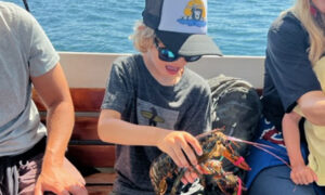 Kid with Lobster. Photo Provided by Rugosa Lobster Tours