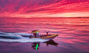 Tour Boat. Photo Provided by New England Eco Adventures