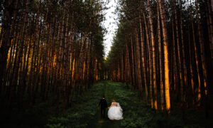 Bride + Groom in Tree Farm. Photo Credit: Bethany and Dan Photogrpahy