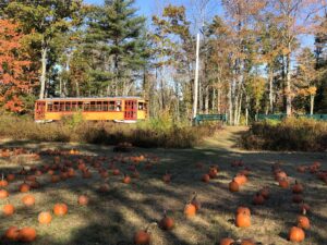 Trolley at the Patch. Photo courtesy of Seashore Trolley Museum