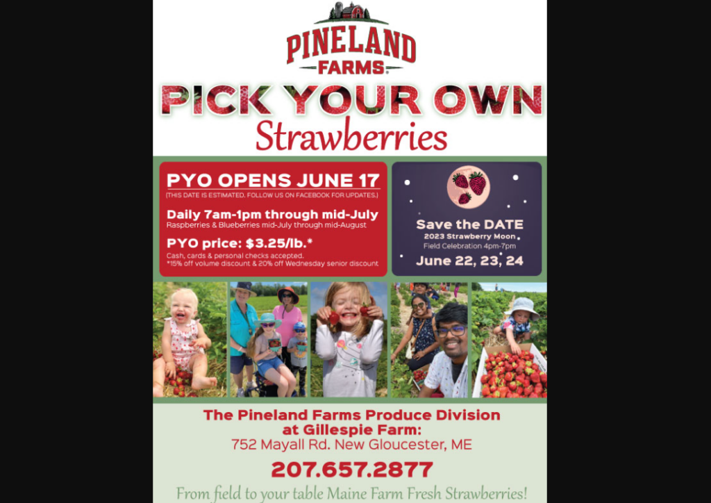 Pick Your Own Strawberries - Photo Credit: Pineland Farms