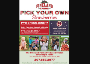 Pick Your Own Strawberries - Photo Credit: Pineland Farms