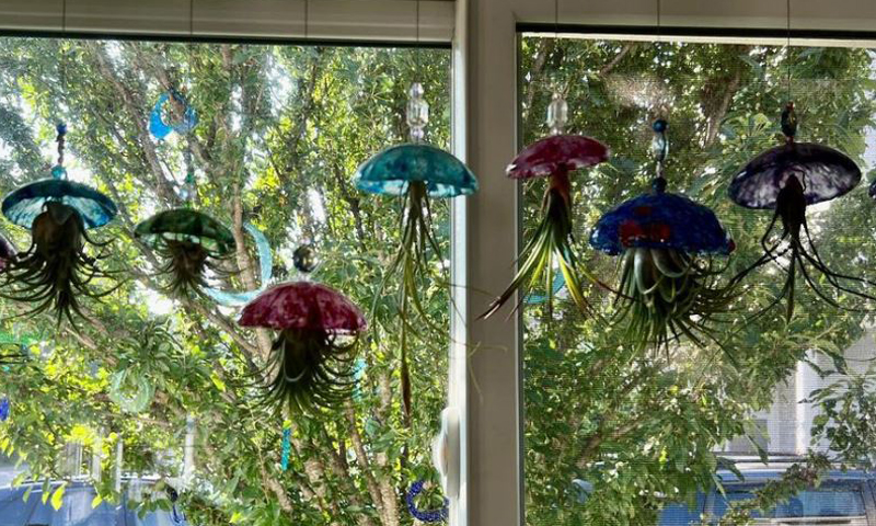 Jellies. Photo Credit: Ogunquit Glassworks Jellies. Photo Credit: Ogunquit Glassworks