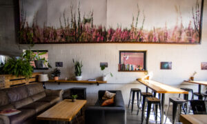 Mural in Root Wild, Photo credit to Capshore Photography