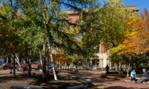 Portland Park, Photo Credits: Serena Folding