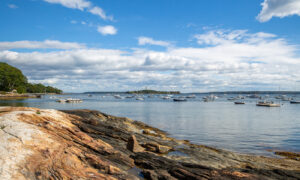 Boas on the water, Photo Credits: Serena Folding