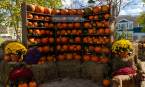 L.L. Bean pumpkins, Photo Credits: Serena Folding